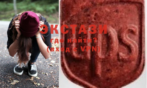 стаф Алзамай
