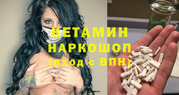 стаф Алзамай