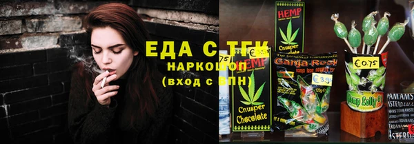 стаф Алзамай