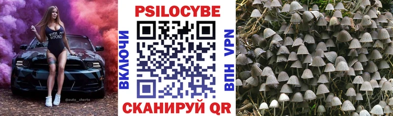 Галлюциногенные грибы MAGIC MUSHROOMS  цены   Туймазы 