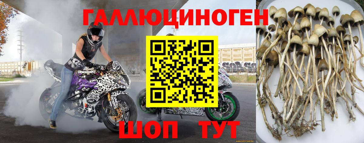 Галлюциногенные грибы мицелий Туймазы