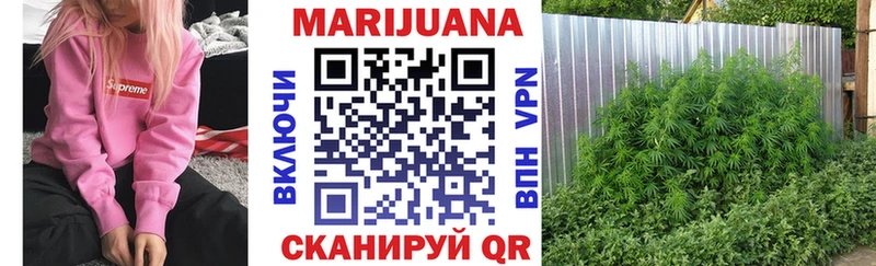 цена   Туймазы  Конопля гибрид 
